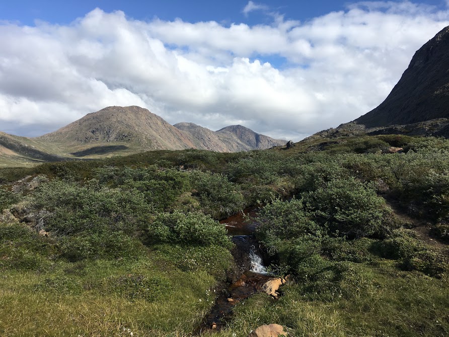 Гренландия с 02 по 15 августа 2017. Поход по The Arctic Circle Trail.