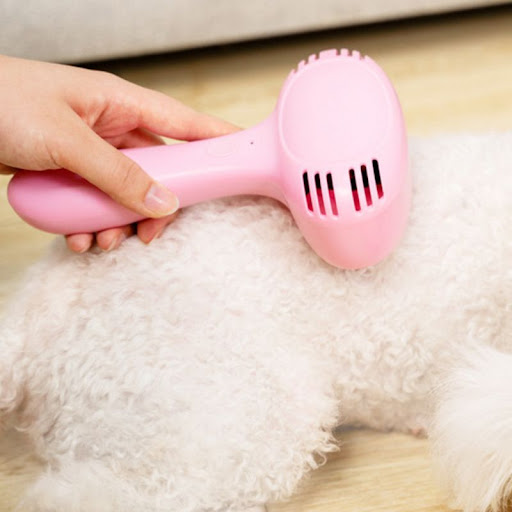 Title 3, Cat hair cleaner combing tool, effectively remo...