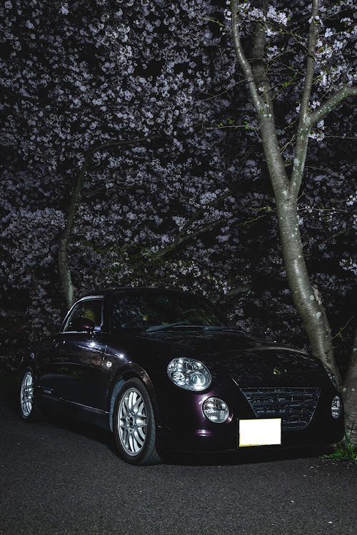 エスティマの4月もよろしくお願い致します🌸・桜とコラボ・サクラと愛車・WORK EMITZ・DIYに関するカスタム事例の投稿画像5枚目