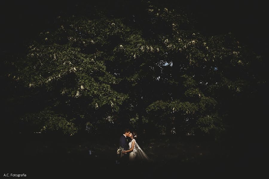 Fotógrafo de casamento Andrea Cittadini (acfotografia). Foto de 10 de julho 2018