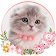 Chat mignon de chat thème fond d’écrans HD animés icon
