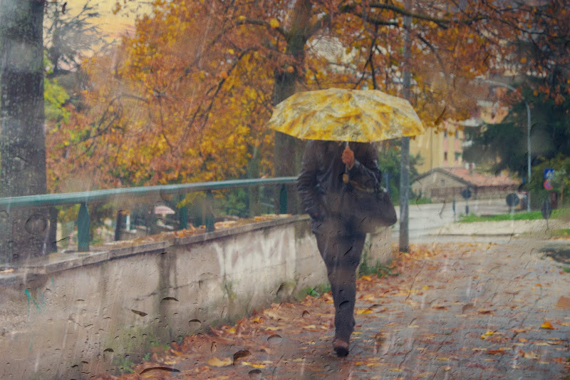 pioggia d'autunno di rino_savastano
