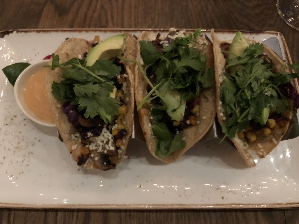 Oaxacan corn and mushroom tacos