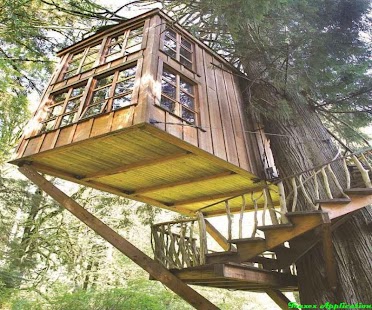 DIY Treehouse Design Ideas Screenshots 4