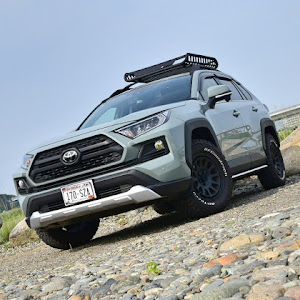 RAV4 MXAA54