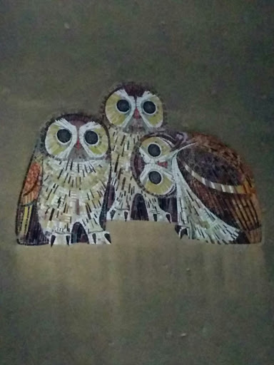 Three Owls 