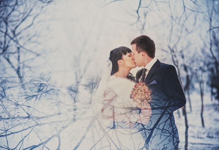 Wedding photographer Aleksandr Medvedenko (bearman). Photo of 22 January 2013