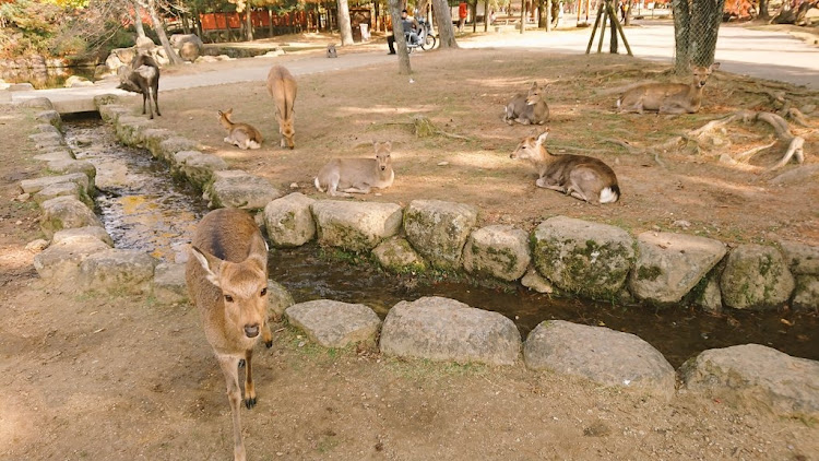 の投稿画像4枚目