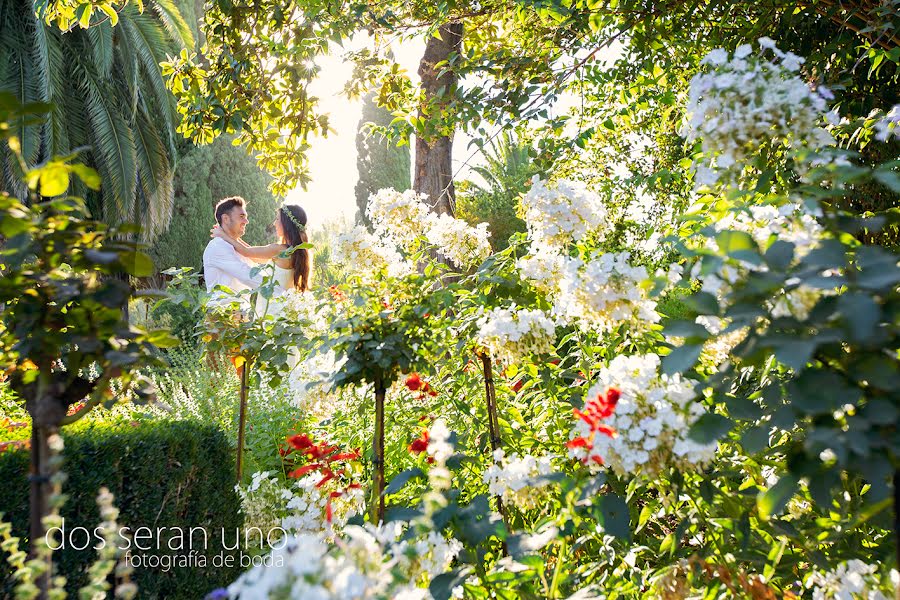 Fotógrafo de bodas Blas Castellano (dosseranuno). Foto del 12 de febrero 2015