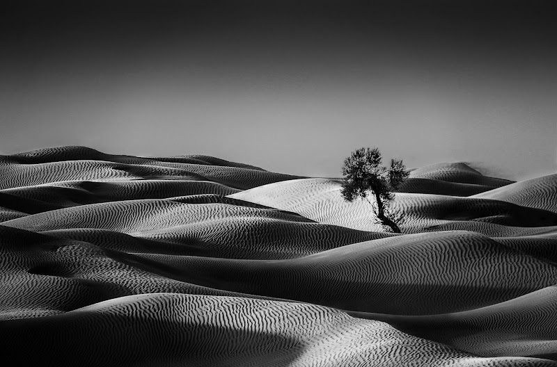 Luce e ombre sulle dune di Hello