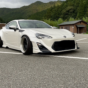 86 ZN6