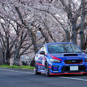 WRX STI