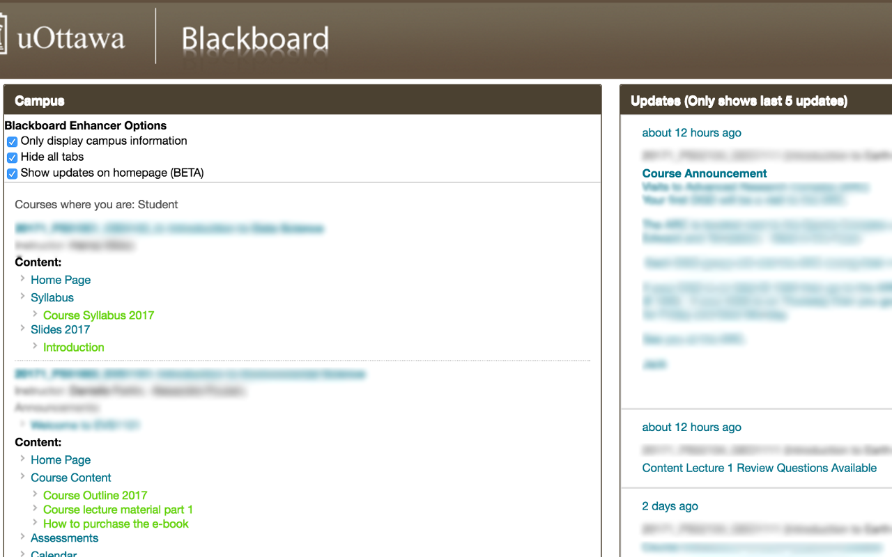 Blackboard Enhancer Preview image 2