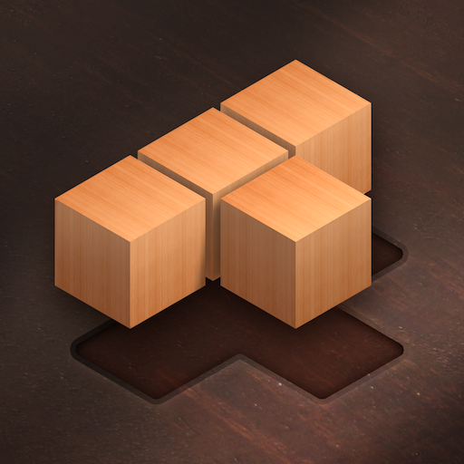wood block puzzle classic