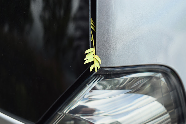 フィットの一眼レフ初心者・梅雨の中休み・しっかりした三脚は良い！・新しいカメラ欲しい・写真って難しいなぁ…。に関するカスタム事例の投稿画像2枚目