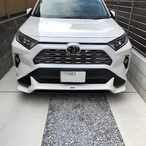 RAV4 MXAA54