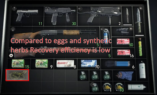 Recovery item