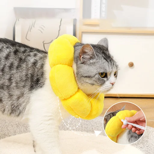 Cat Sunflower Elizabeth Cotton Neck Sterilization Feeding Anti Lick Bite Beauty Head Cover Dog Pet Collar