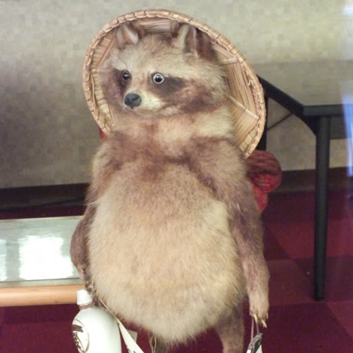 やんのプロフィール画像