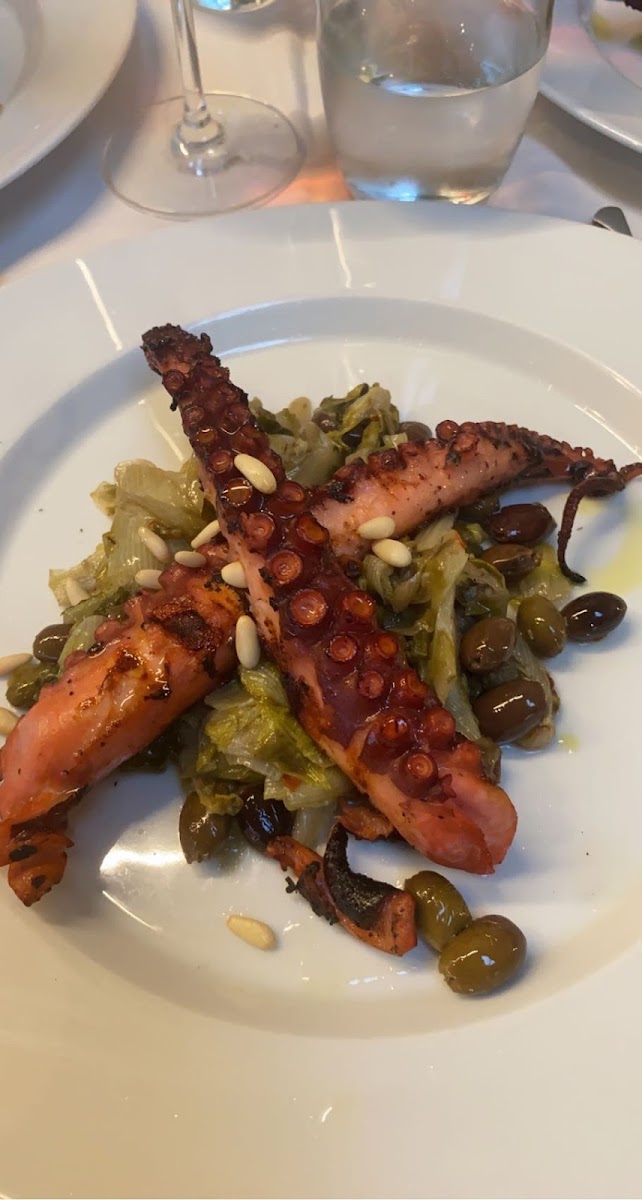 Octopus secondi