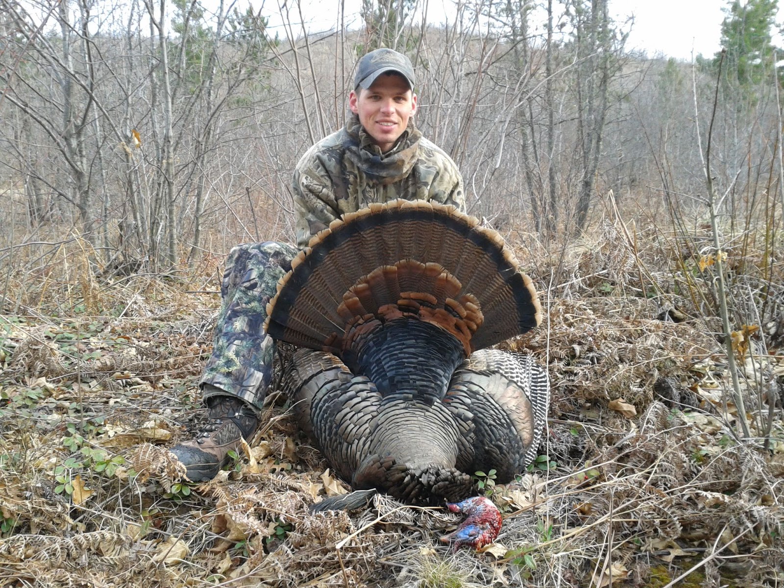 Turkey Hunting in Bayfield County