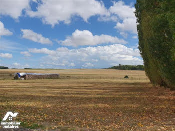 terrain à Corrobert (51)