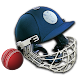Cricket Captain 2014 Install on Windows