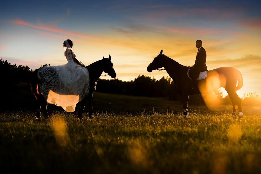 Fotografo di matrimoni Svetlana Alinova (fotobox). Foto del 15 aprile 2022