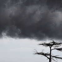 DILUVIO IN ARRIVO di 