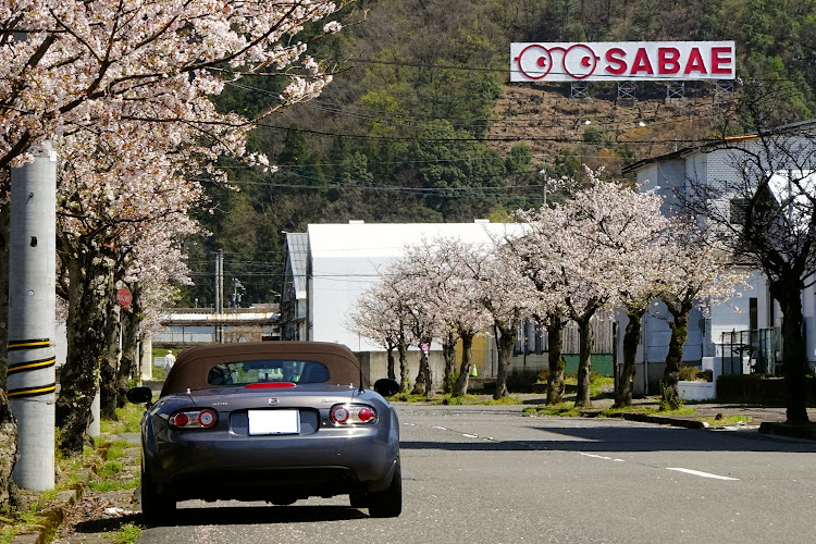 ロードスターのサクラと愛車・めがねの里さばえ・宮ノ下に関するカスタム事例の投稿画像7枚目