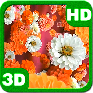 Bloom Zinnias Flowers Drift 3D