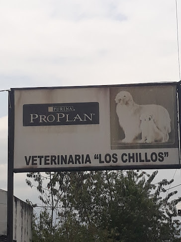 Opiniones de Clinica Veterinaria Los Chillos en Quito - Veterinario