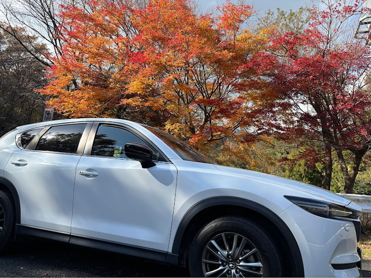 CX-5の12月もよろしくお願いします・紅葉に関するカスタム事例の投稿画像2枚目