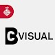 BCN Visual Download on Windows