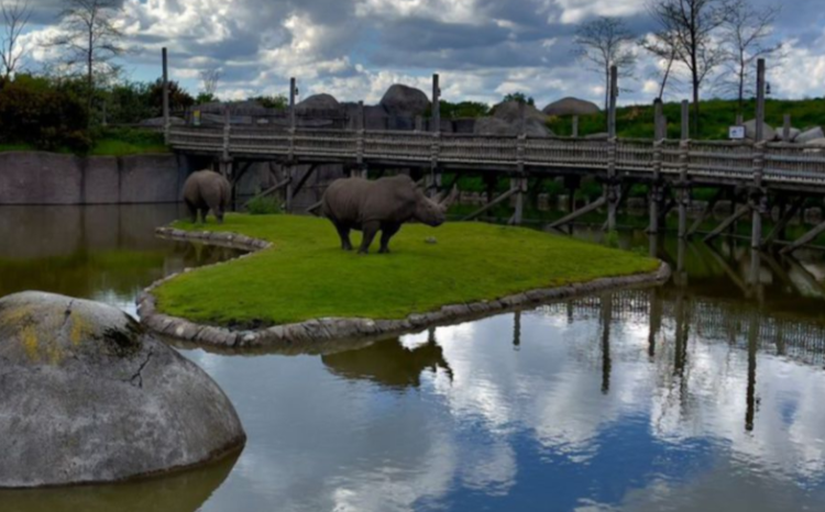 A general view of the Wildlands zoo in the eastern city of Emmen, where the rhinos are housed. - Pic credit Facebook WildlandsNL