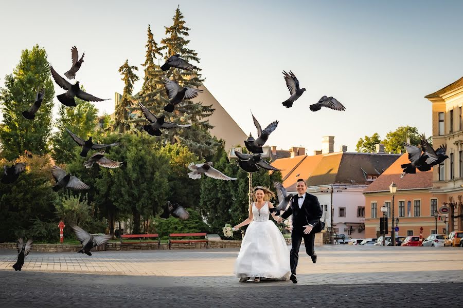 Photographe de mariage Agardi Gabor (digilab). Photo du 23 septembre 2023