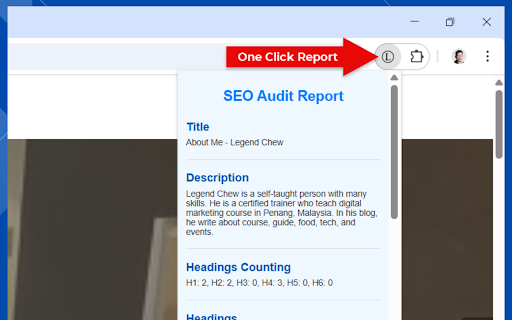 SEO Audit Report