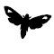 Item logo image for Butterflies