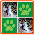 Cats Memory Match Game 1.2.7