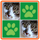 Cats Memory Match Game Download on Windows