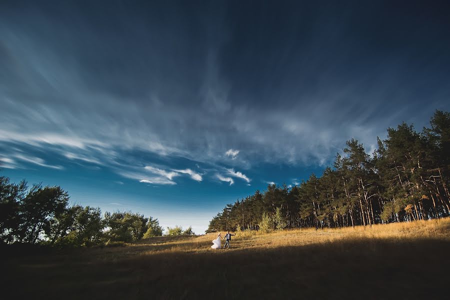 Wedding photographer Olga Shok (olgashok). Photo of 20 August 2015