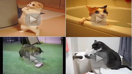 How to download Funny Videos 1.3.2 mod apk for pc