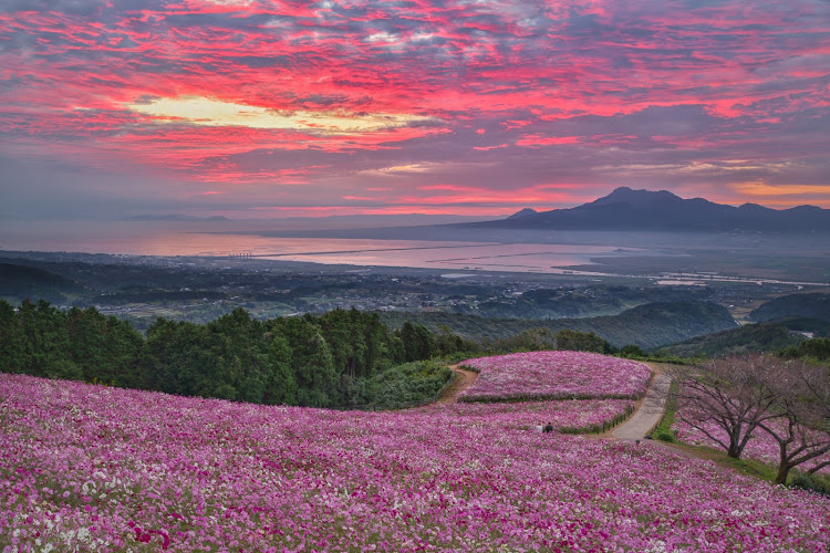 の投稿画像5枚目