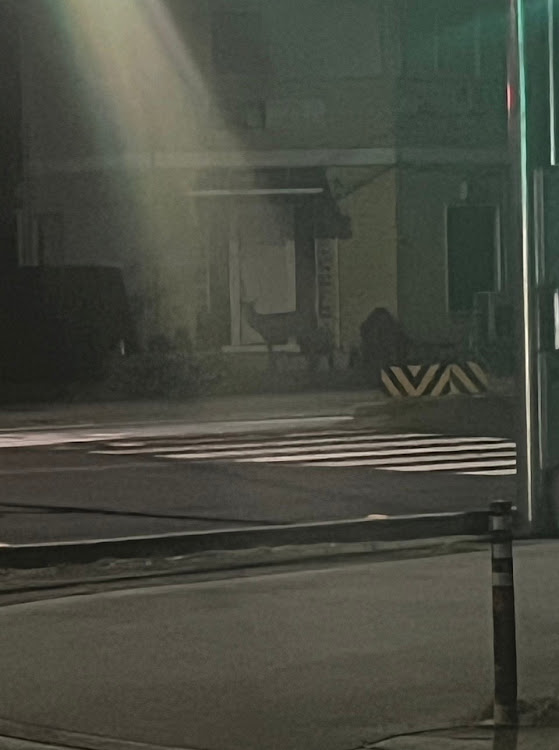 CLSシューティングブレークの正月早々・鹿とタイマン・車検受けたてに関するカスタム事例の投稿画像3枚目