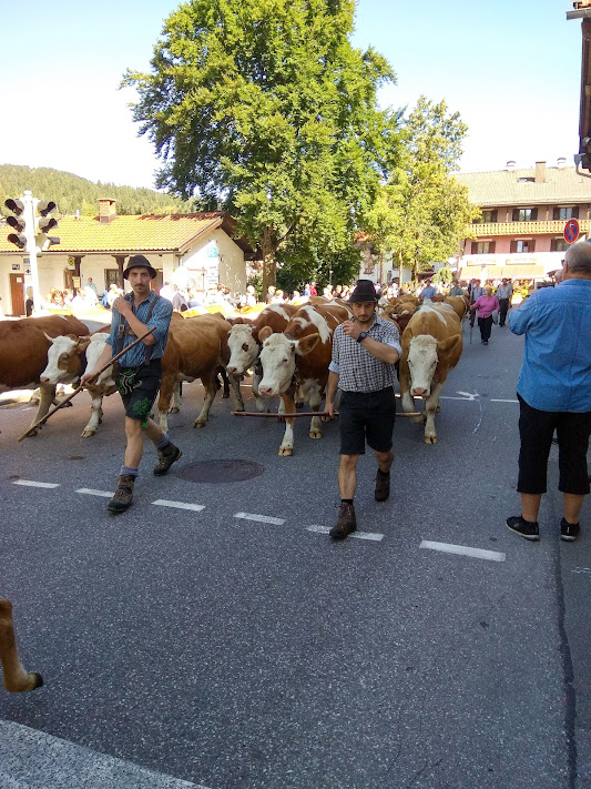 Заметки о вояже в альпийские края Германии,Австрии,Италии.2019