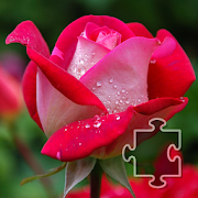 Flowers Jigsaw Puzzles  Icon