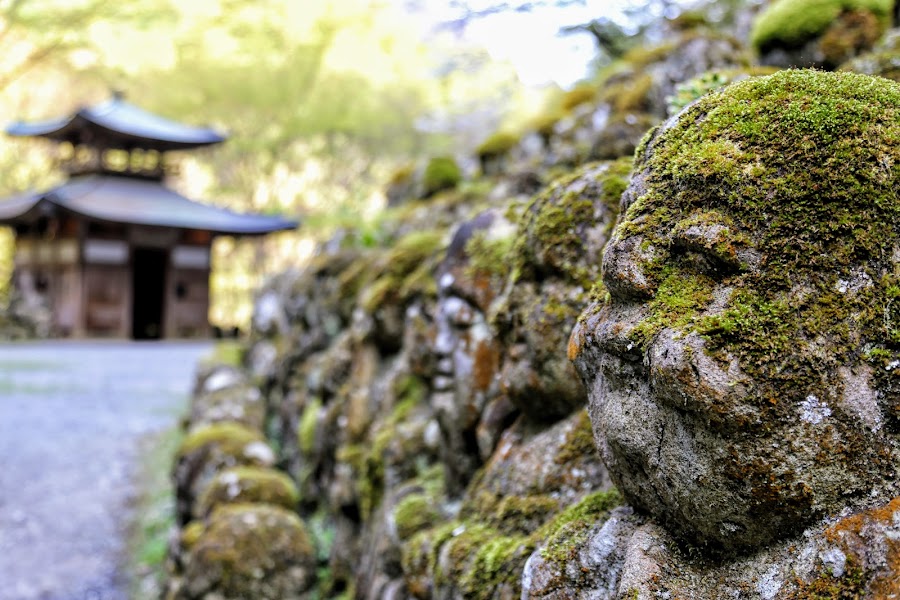 Otagi Nenbutsu-ji, Arashiyama, Kioto