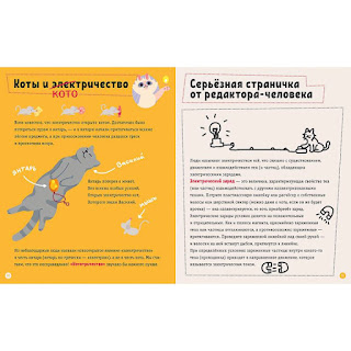 Книга Весёлые котонаук Котофизика Горюнова И Лисаченко А Clever за 555 руб.