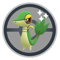 Snivy