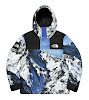 supreme the north face mountain parka